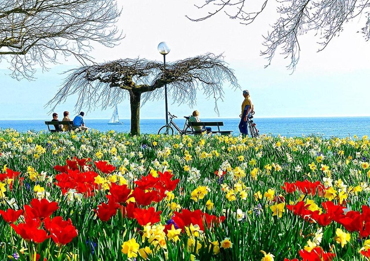 Hotel Am Rehberg garni Lindau  Exteriör bild